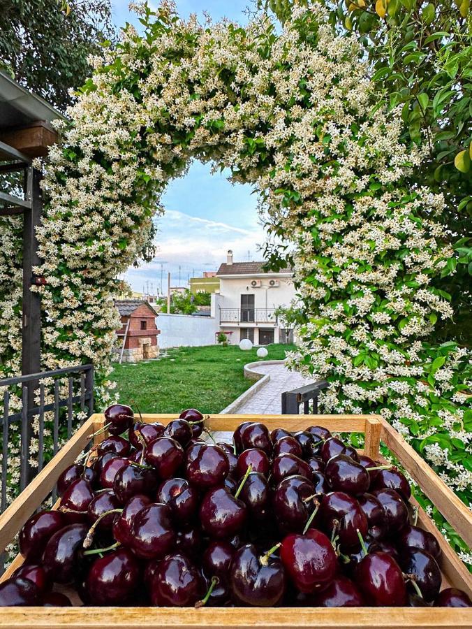 Villa Ardigo - Camera O Appartamento バーリ エクステリア 写真
